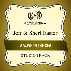 A Wave In the Sea (Studio Tracks) - EP by Jeff & Sheri Easter album reviews, ratings, credits