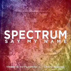 Spectrum (Say My Name) [Alternate - Instrumental] Song Lyrics