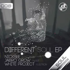 Different Soul - Single by NickBee, Jabro Grow & White Project album reviews, ratings, credits