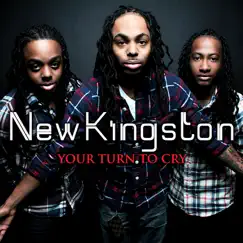 Your Turn to Cry - Single by New Kingston album reviews, ratings, credits