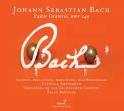 Geist und Seele wird verwirret, BWV 35: Concerto Song Lyrics