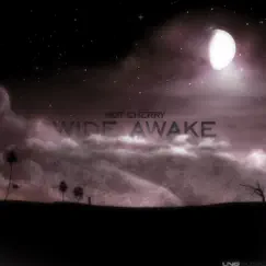 Wide Awake (Niccho Vs DRM Remix Edit) Song Lyrics