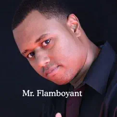 Mr. Flamboyant - Single by Mr. Flamboyant album reviews, ratings, credits