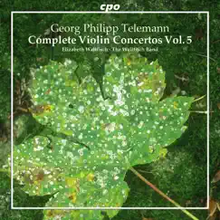 Violin Concerto in F-Sharp Minor, TWV 51:fis1: II. Allegro Song Lyrics