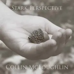 Save the World Tonight Acoustic Cover - Single by Collin McLoughlin album reviews, ratings, credits