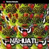 Remixes Nahuales album lyrics, reviews, download