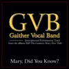 Mary, Did You Know? (Performance Tracks) - EP album lyrics, reviews, download