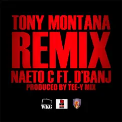 Tony Montana (feat. D'Banj) [Remix] Song Lyrics