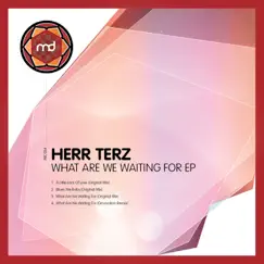 What Are We Waiting For (Original Mix) Song Lyrics