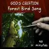 Forest Bird Song (90 Minutes) album lyrics, reviews, download