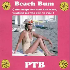 (She's A) Beach Bum - Single by Paul Thomas Butterfield album reviews, ratings, credits