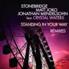 Standing In Your Way (feat. Crystal Waters) - EP (Remixes) album lyrics, reviews, download