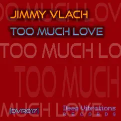 Too Much Love (Streako & B-Squit remix) Song Lyrics