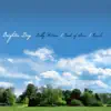 A Brighter Day (feat. Reach) - Single album lyrics, reviews, download