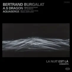 La nuit est là - Concerts by Bertrand Burgalat album reviews, ratings, credits