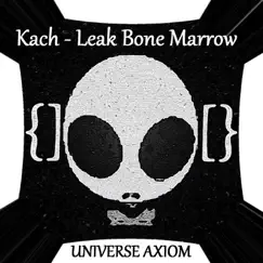 Leak Bone Marrow Song Lyrics