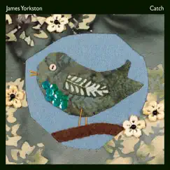 Catch - Single by James Yorkston album reviews, ratings, credits