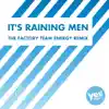 It's Raining Men (The Factory Team Energy Remix) - Single album lyrics, reviews, download
