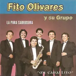 Mi Caballíto by Fito Olivares Y Su Grupo album reviews, ratings, credits