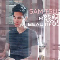 What Makes You Beautiful - Single by Sam Tsui album reviews, ratings, credits