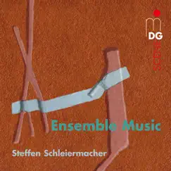 Schleiermacher: Ensemble Music by Ensemble Avantgarde & Steffen Schleiermacher album reviews, ratings, credits