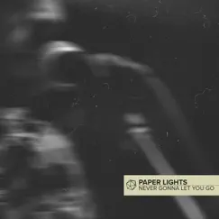 Never Let You Go - Single by Paper Lights album reviews, ratings, credits