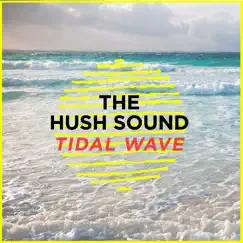 Tidal Wave Song Lyrics