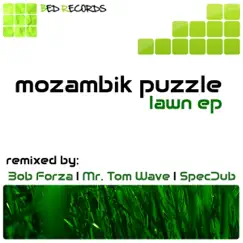 Lawn (Mr. Tom Wave Remix) Song Lyrics