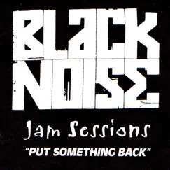 Jam Sessions: Put Something Back by Black Noise album reviews, ratings, credits