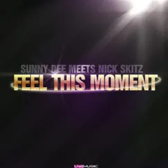 Feel This Moment (Extended Mix) Song Lyrics