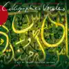 Calligraphies vocales - Vocal Calligraphy (The Art of Classical Persian Song) album lyrics, reviews, download