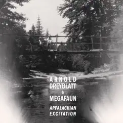 Appalachian Excitation by Arnold Dreyblatt & Megafaun album reviews, ratings, credits