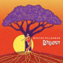 Mzansi by Wouter Kellerman album reviews, ratings, credits
