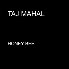 Honey Bee Song Lyrics