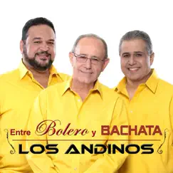 Entre Bolero y Bachata by Los Andinos album reviews, ratings, credits