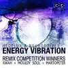 Energy Vibration (Martopeter Remix) song lyrics