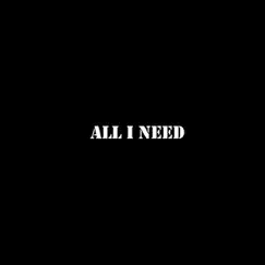 All I Need (feat. Ionu) Song Lyrics