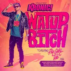 Watup Bitch (feat. FlyGirl Tee) by Kronic album reviews, ratings, credits