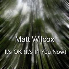 It's Ok (It's in You Now) - Single by Matt Wilcox album reviews, ratings, credits