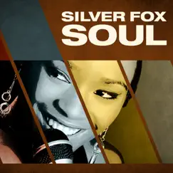 Silver Fox Soul by Various Artists album reviews, ratings, credits