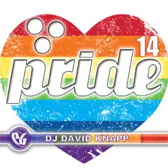 Party Groove: Pride 14 (Continuous Gay Pride Mix) by David Knapp album reviews, ratings, credits