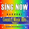 Sing Now Karaoke - Country Music Hits, Vol. 2 (Performance Backing Tracks) album lyrics, reviews, download