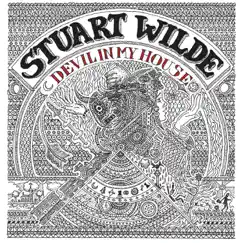 Devil in My House by Stuart Wilde album reviews, ratings, credits