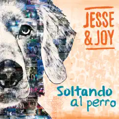 Soltando al Perro by Jesse & Joy album reviews, ratings, credits