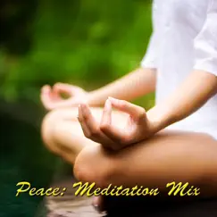 Peace: Meditation Mix by Chris Hinze album reviews, ratings, credits
