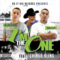 Im the One (feat. C****o Bling) - Single by Mr.Doitbigg & Hoodstar album reviews, ratings, credits