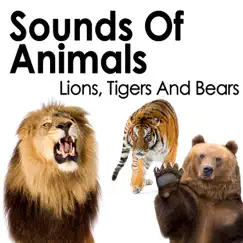 Sounds of Animals: Lions, Tigers and Bears by Pro Sound Effects Library album reviews, ratings, credits