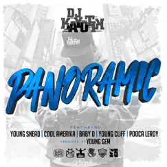 Panoramic (feat. Young Snead, Pooca Leroy, Baby D, Young Cliff, Cool Amerika) - Single by DJ Kayotik album reviews, ratings, credits