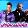 Princesinha (feat. Mr. Catra) song lyrics