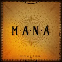 Hasta Que Te Conocí - Single by Maná album reviews, ratings, credits